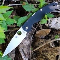 Складной нож Spyderco Native Chef C244GP